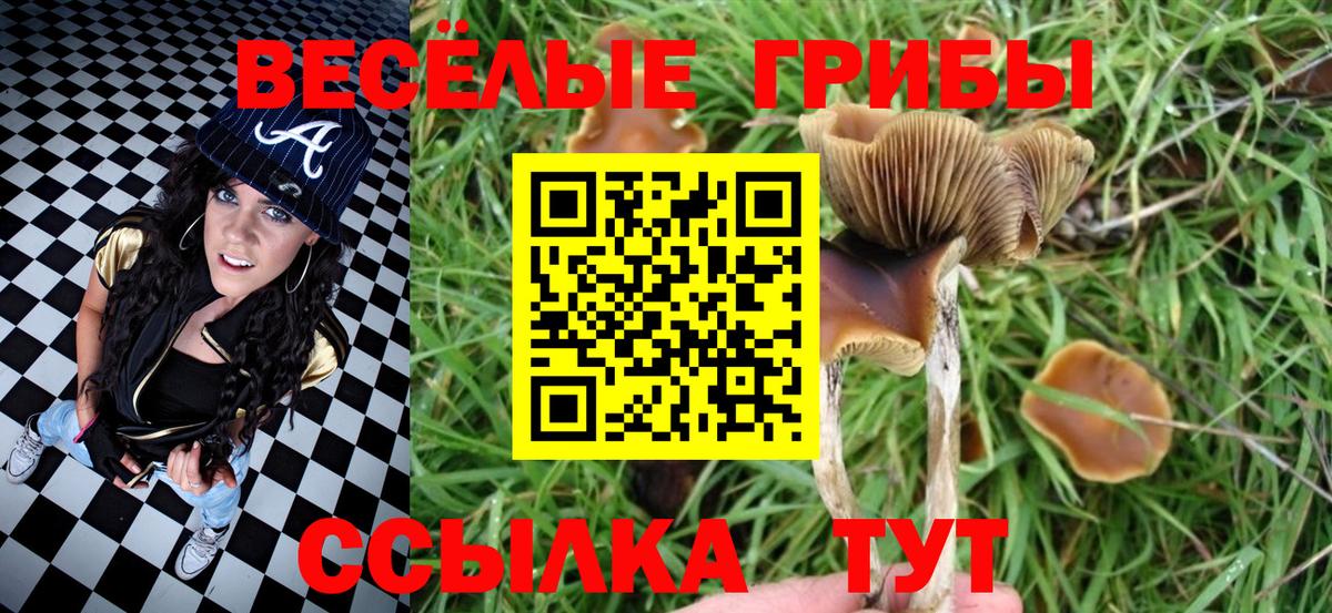 Галлюциногенные грибы Psilocybine cubensis  Вход с VPN  Королёв 